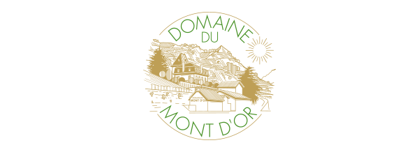gustovinum-fete-du-gout-stands-gourmands-after-festif-musicale-restaurateur-sedunois-encaveurs-place-de-scex-tanneries-midi-sion-valais